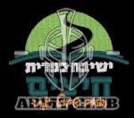 ישיבת כפרים